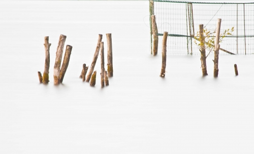 Terapias Cognitivo Conductuales de Tercera Generación TTG: Atención plena/Mindfulness